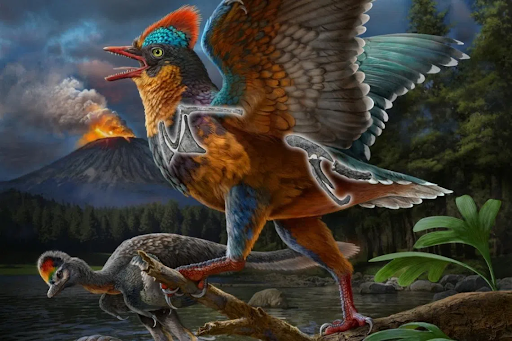 Как эволюционировали птицы? Ответ оказался гораздо более неожиданным, чем кто-либо предполагал