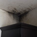 Сырость осенью поддерживает плесень и может усиливать аллергию